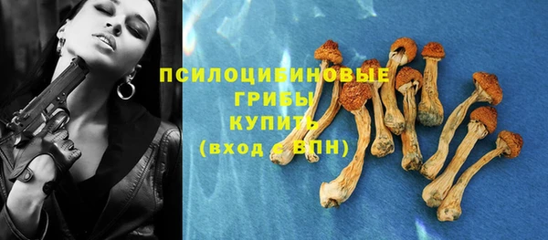 spice Беломорск