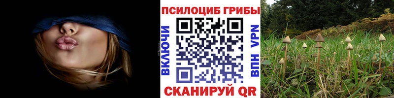 Купить  Малоархангельск  Псилоцибиновые грибы Magic Shrooms 